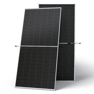 620Вт Сонячна панель Trina (Тріна) Solar TSM-620M NEG19RC.20 Vertex N Bifacia TSM-620M фото
